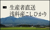 生産者直送 浅科産こしひかり