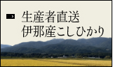 生産者直送 伊那産こしひかり