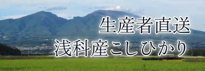 生産者直送 浅科産こしひかり